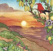 Nani Moon Mead Winter Sun