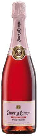 Juve y Camps Cava Brut Rosé NV