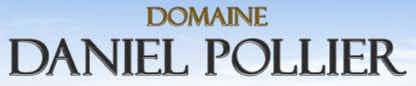 Domaine Daniel Pollier Pouilly Fuisse Les Perrieres 2017