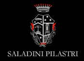 Saladini Pilastri Falerio dei Colli Ascolani Bianco