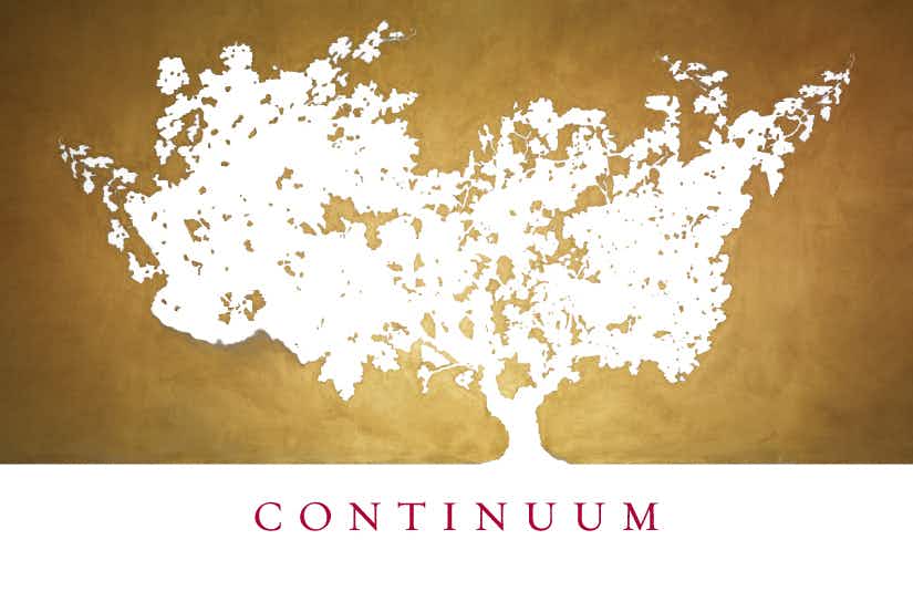 Continuum Proprietary Red 2012