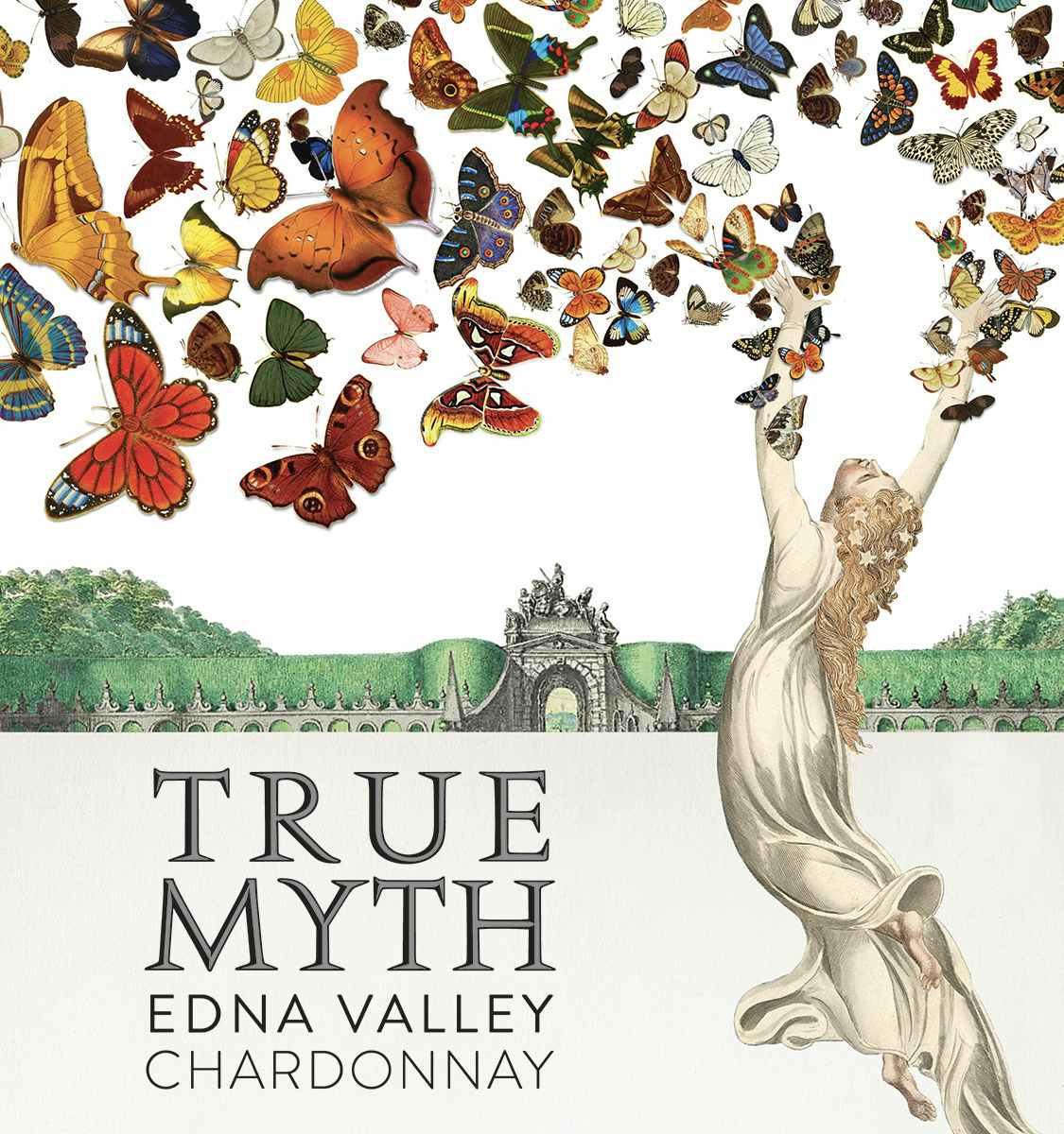 True Myth Chardonnay 2013