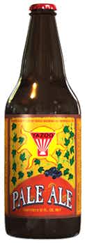 Yazoo Pale Ale 6 pack 355ml Can