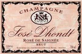 Jose Dhondt Rose de Saignee