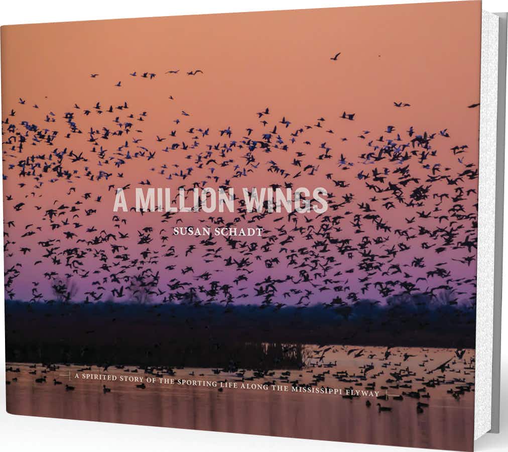 Susan Schadt A Million Wings 12oz