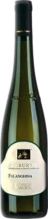 Cantina del Taburno Falanghina 2015
