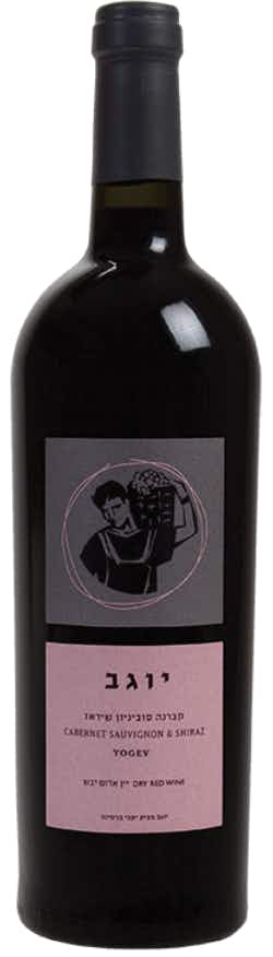 Binyamina Yogev Cabernet Sauvignon Shiraz 2013