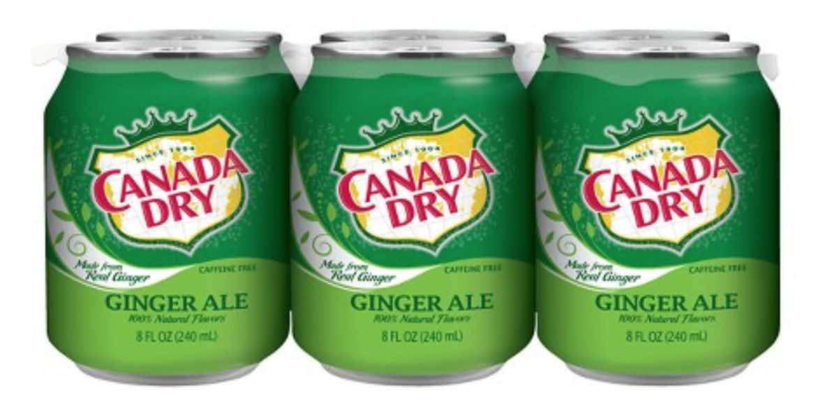 Canada Dry Ginger Ale 6 pack 10oz Can