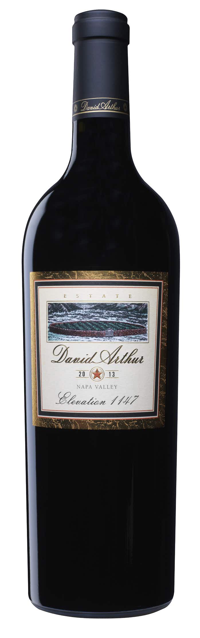 David Arthur Elevation 1147 2013