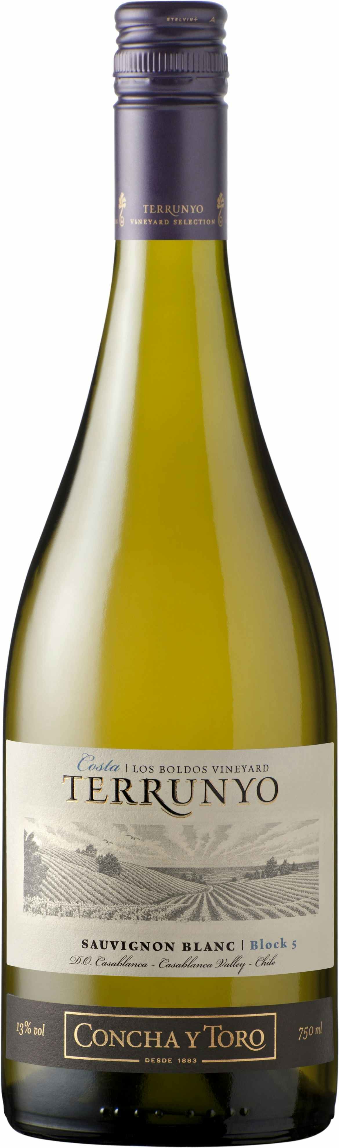 Concha y Toro Terrunyo Sauvignon Blanc 2016