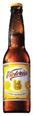 Victoria Lager 6 pack 355ml Bottle