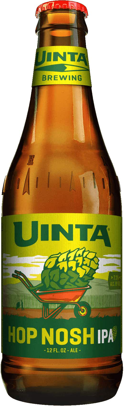 Uinta Brewing Company Hop Nosh IPA 6 pack 12oz Can