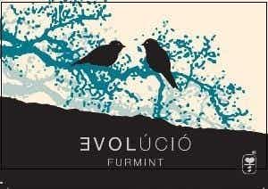 Evolúció Evolucio, Tokaj Furmint 2016 2016