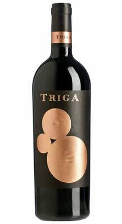 Triga Alicante 2015