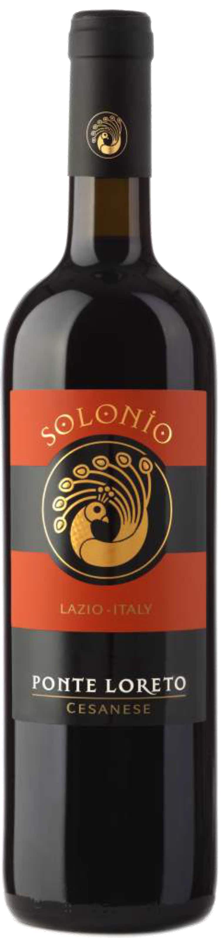 Solonio Ponte Loreto 2013