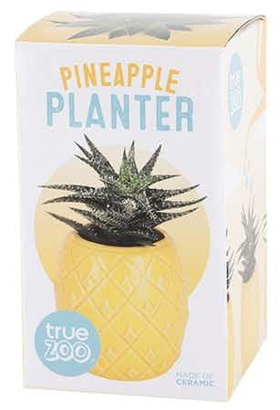 True Fabrications Pineapple Planter by TrueZOO