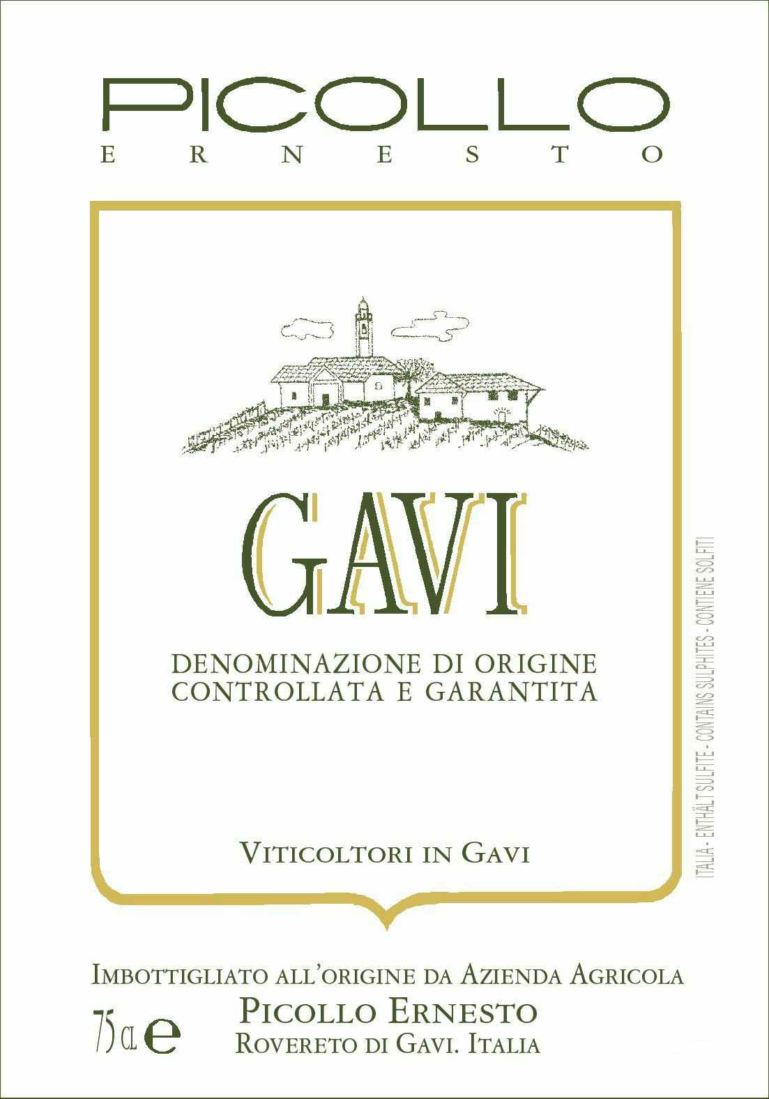 Picollo Ernesto Gavi 2017