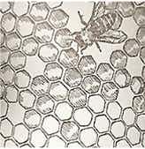 Big Table Farm Chardonnay 2015