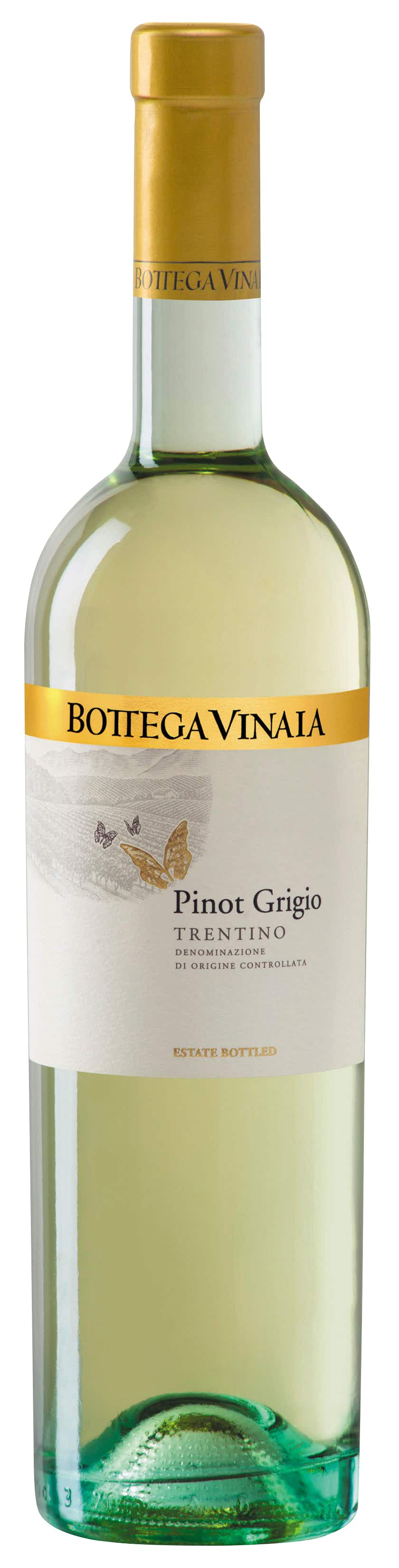 Bottega Vinaia Pinot Grigio 2017