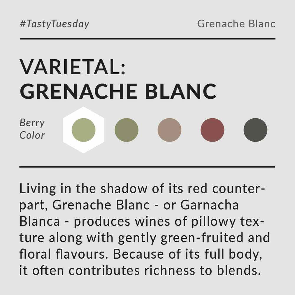 La Ferme de Gicon Grenache Blanc 2017