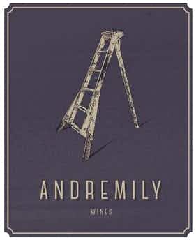 Andremily No. 4 Box Set 2015
