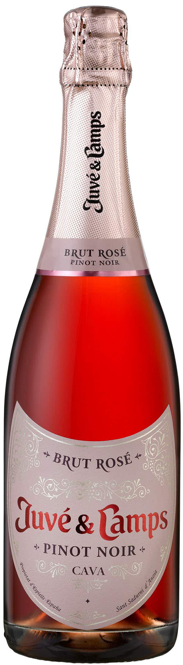 Juve y Camps Cava Brut Rosé 2011