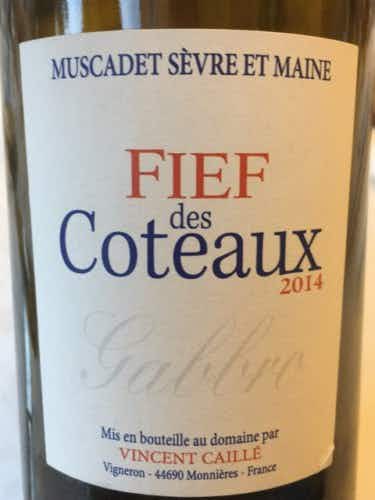 Domaine Le Fay d'Homme Muscadet Fief Des Coteaux Gabbro 2017