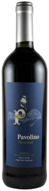 Pavolino Pinot Noir 2016
