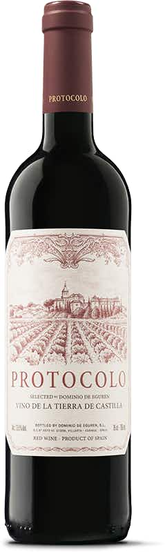 Dominio de Eguren Protocolo Tinto 2016