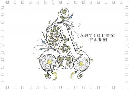 Antiquum Farm Aurosa Rosé of Pinot Gris 2017