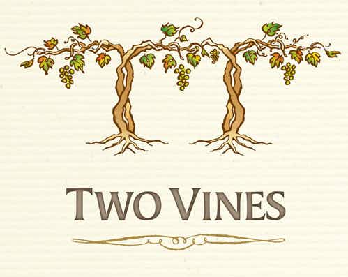 Two Vines Vineyard 10 Red Wine 2016 1.5L