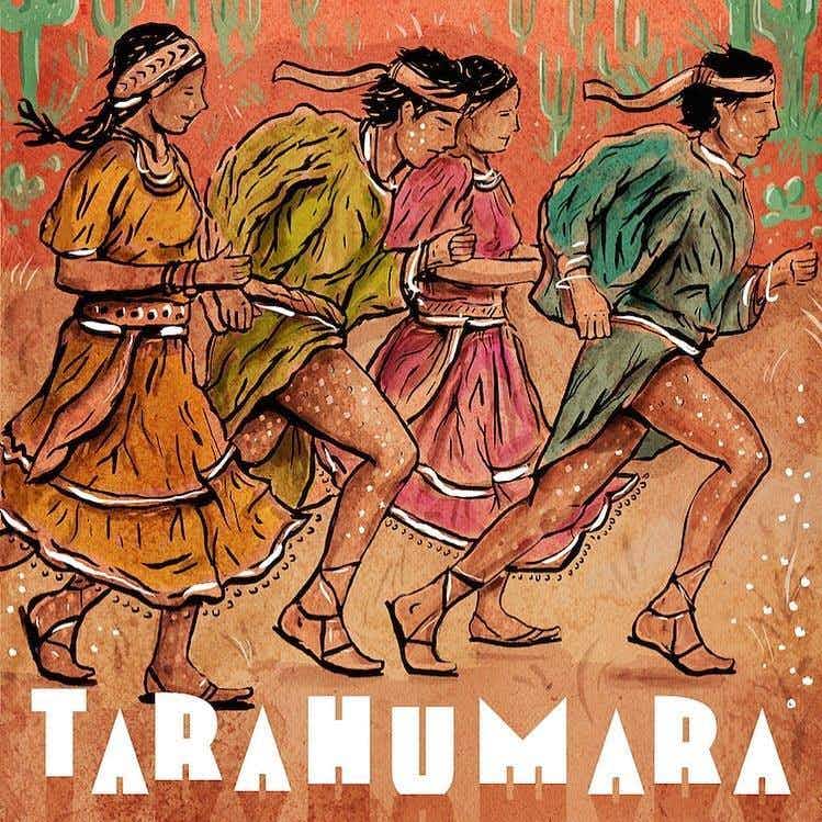Wiseacre Tarahumara 4 pack 355ml Bottle