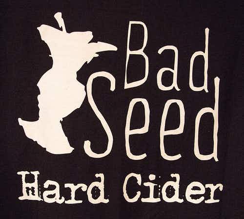 Bad Seed Cider Co. Dry Hard Cider 4 pack 12oz Can
