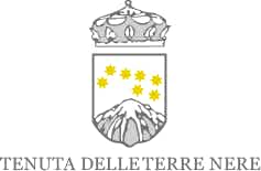 Tenuta delle Terre Nere Etna Rosso Prephylloxera La Vigna di Don Peppino Vecchie Vigne 2016