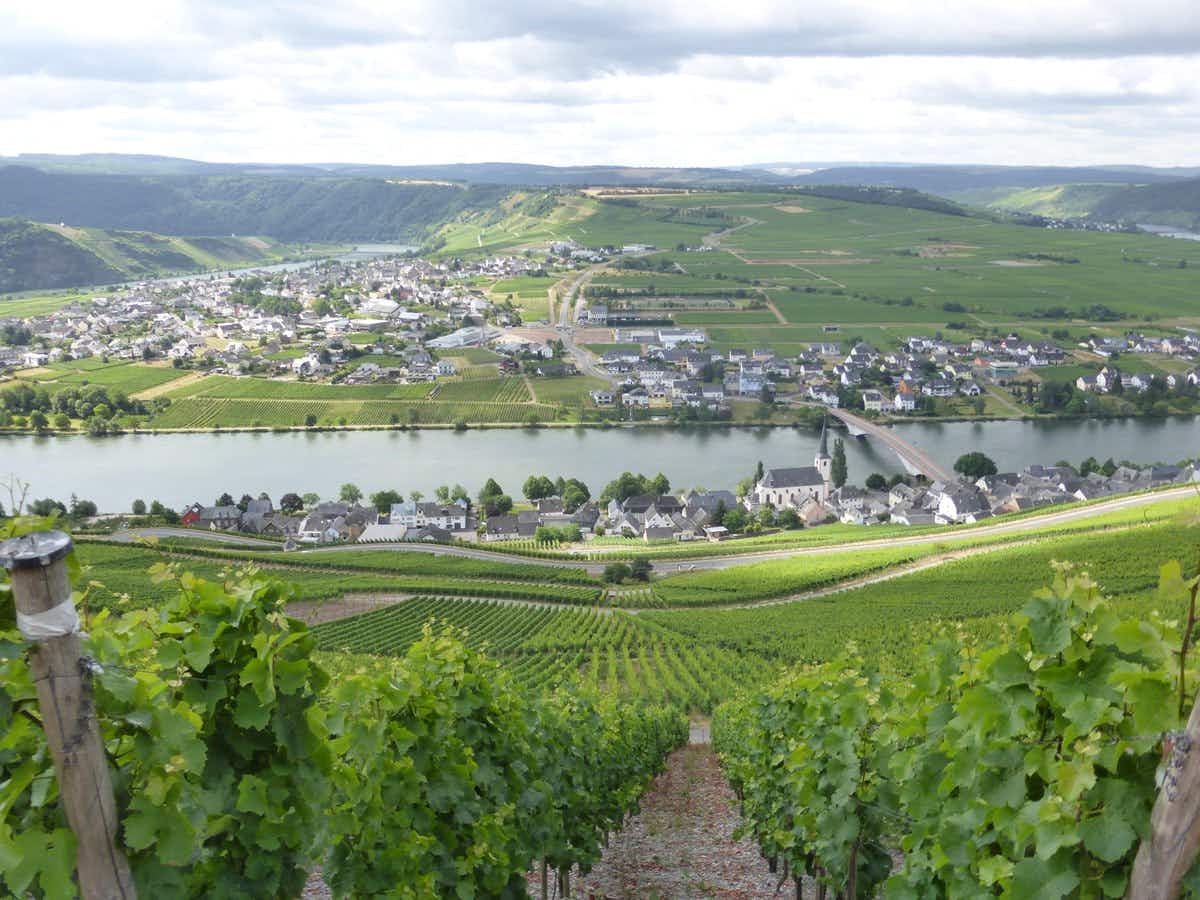 Hans Pfeiffer Piesporter Goldtropfchen Riesling Spatlese 2015