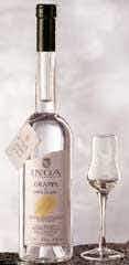 Inga Grappa di Gavi 375ml